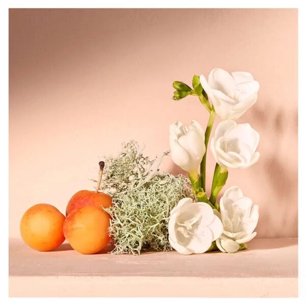Nomade Chloé - Dames parfums - Eau de Parfum - Image 3